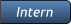 Intern Intern