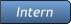 Intern