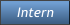 Intern